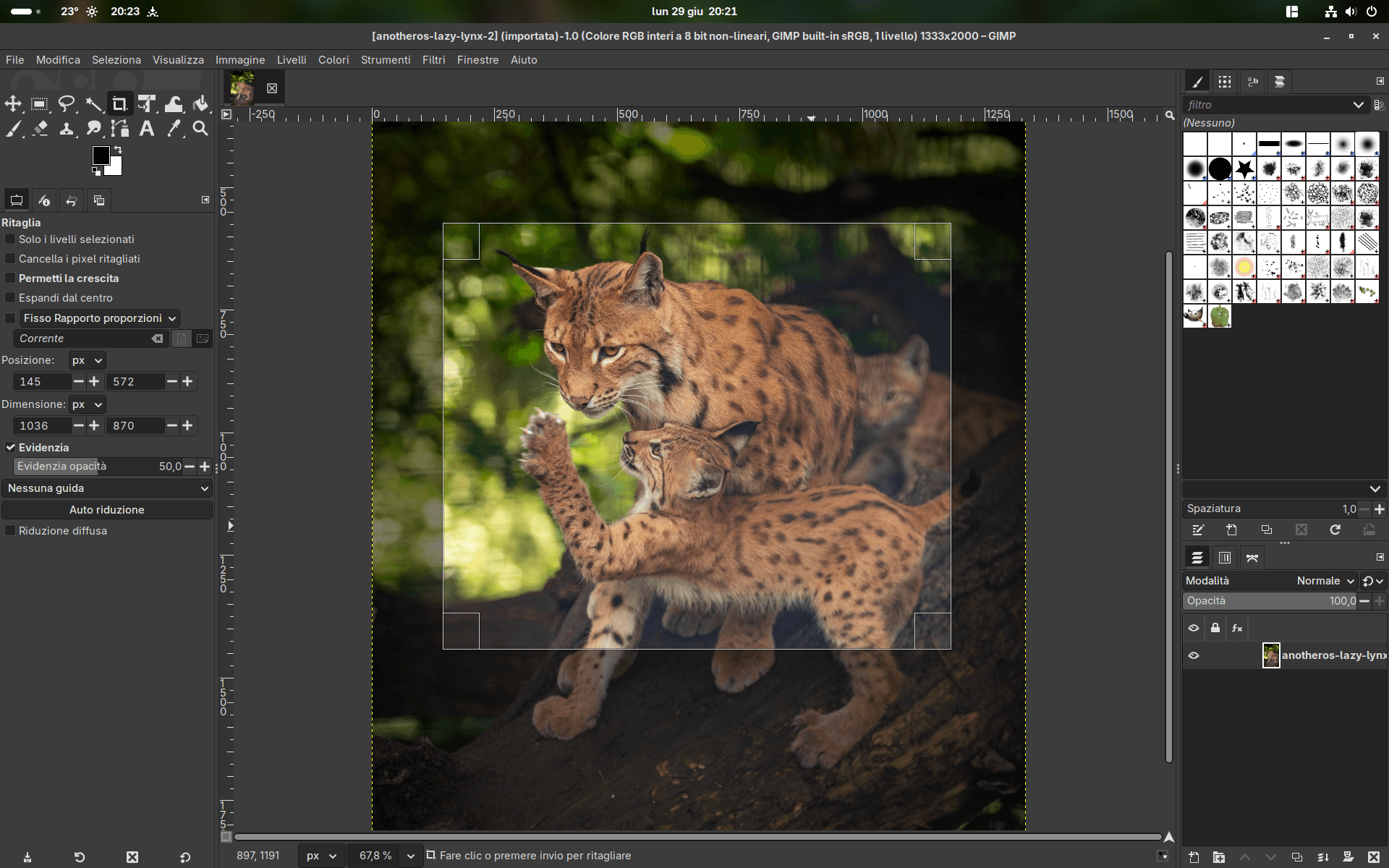 GIMP disponibile su AnotherOS