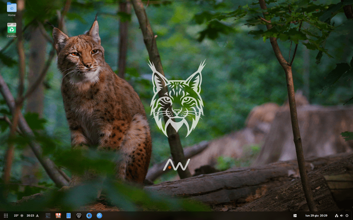 AnotherOS aiuta nella transizione da Windows 10 e 11